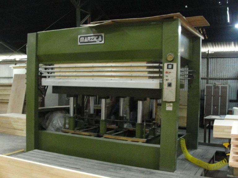 WhatsApp Image 2026-03-17 at 3.38